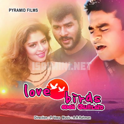 Love Birds Album Poster