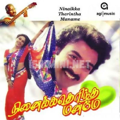 Ninaikka Therintha Maname Album Poster