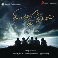 Ninaithale Inikkum Album Poster